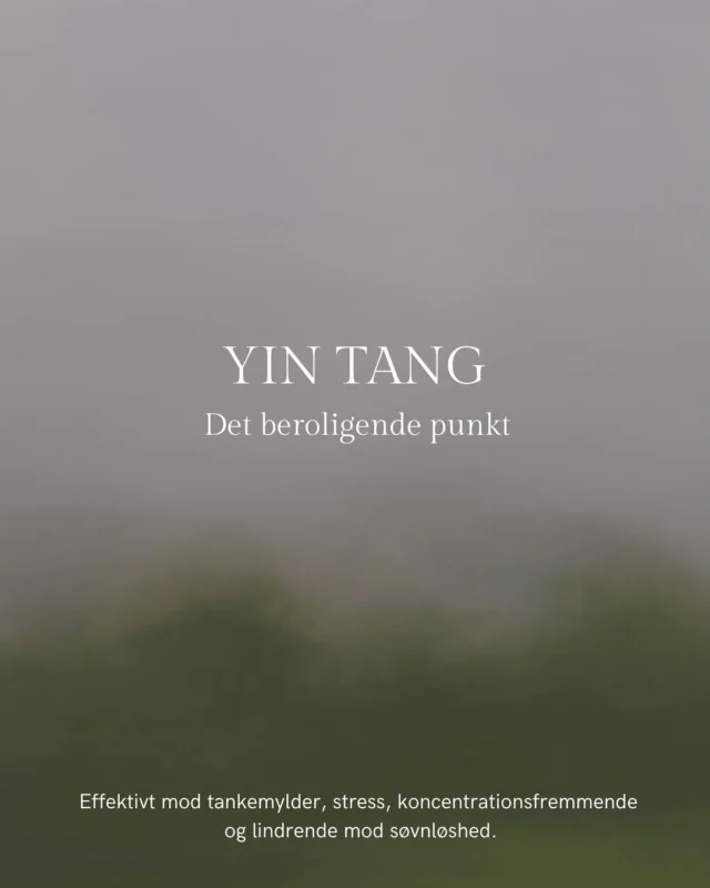 En beroligende praksis til den kommende weekend.  Yin Tang punktet har en evne til at berolige sindet og kroppen. Du finder punktet mellem dine øjenbryn, i den lille fordybning, hvor panden møder næseryggen.  Punktet er med til at lindrer stress, angst og spændinger. 
Det kan hjælpe mod:
- hovedpine
- Overbelastning af bihulerne
- Søvnløshed.
- Det fremmer afslapning og mental klarhed.
- Fungerer, som en nulstillingsknap for dit sind.  Se hvordan du finder punktet og stimulerer det på opslaget.  .
.
.
#kropsbevidsthed #aarhus #behandling #smerter #akupunktur #acupuncture #alternativmedicin #sundhed #akupressur #cupping #energiarbejde #behandleraarhus #østligmedicin #TCM