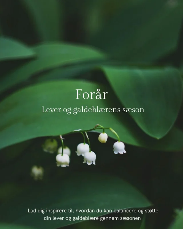 Kalenderen siger marts, udenfor stiger temperaturen gradvist, blomsterne pibler frem og foråret er endelig indenfor rækkevidde. En ny sæson, betyder ikke kun lysere og lunere dage, det betyder også et skift i energien og i de organer, der indenfor Traditionel Kinesisk Medicin er dominerende.  Jeg byder en ny sæson velkommen med et lille skriv om, hvad denne tid bringer med sig og hvordan du kan støtte dig selv bedst muligt gennem den kommende tid. 🌱  Ønsker du ekstra støtte gennem sæsonen, kan du kontakte mig helt uforpligtende via tlf: 2216 6691 eller mail: jb@aku-jon.dk.  Kh Jon.  .
.
.
#kropsbevidsthed #aarhus #behandling #smerter #akupunktur #acupuncture #alternativmedicin #sundhed #akupressur #cupping #energiarbejde #behandleraarhus #østligmedicin #tcm
